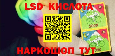 apvp Камышлов