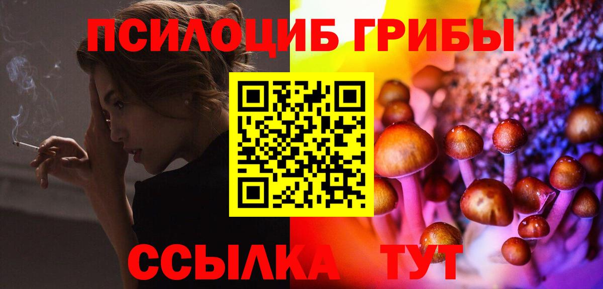 Псилоцибиновые грибы MAGIC MUSHROOMS  Псилоцибиновые грибы Cubensis  Сланцы  Вход с VPN 