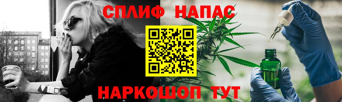 Сланцы  Конопля план  Вход с VPN  Канабис сатива  Канабис конопля 